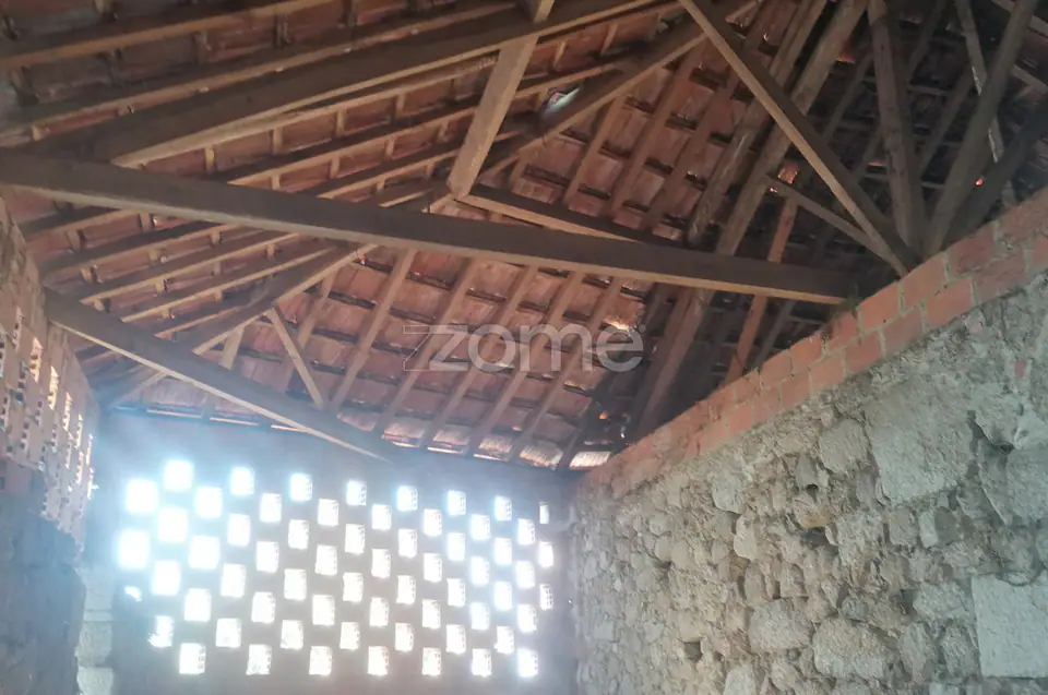 Terreno Rústico e Casas com vista para a Serra do Caramulo — imagem 15