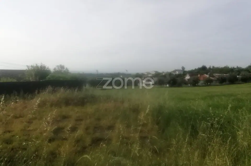 Terreno Rústico e Casas com vista para a Serra do Caramulo — imagem 5