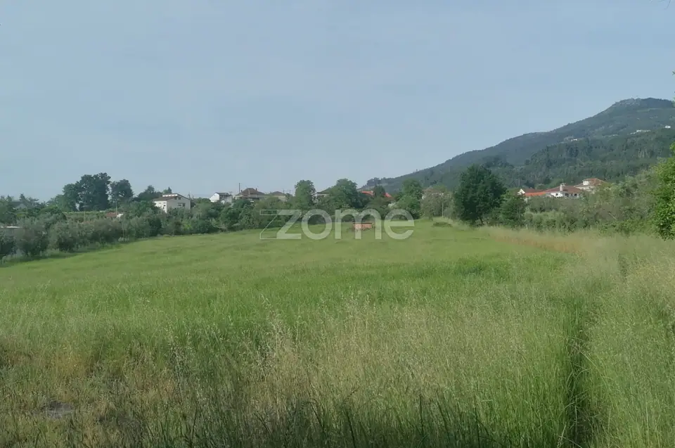 Terreno Rústico e Casas com vista para a Serra do Caramulo — imagem 1