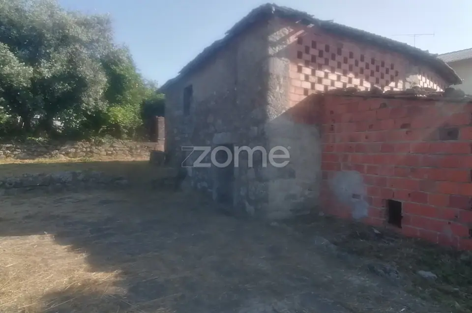 Terreno Rústico e Casas com vista para a Serra do Caramulo — imagem 16