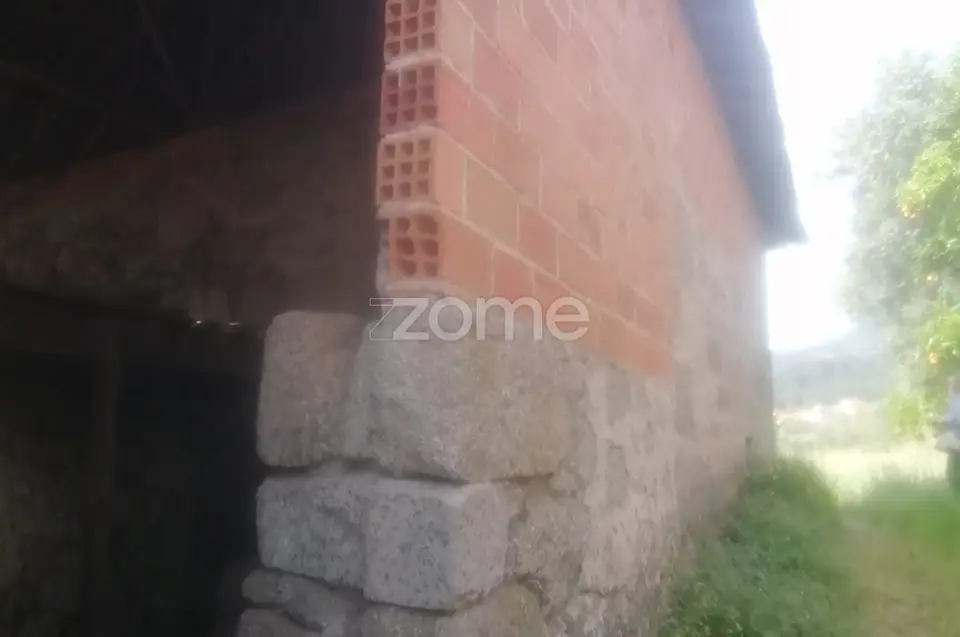 Terreno Rústico e Casas com vista para a Serra do Caramulo — imagem 3