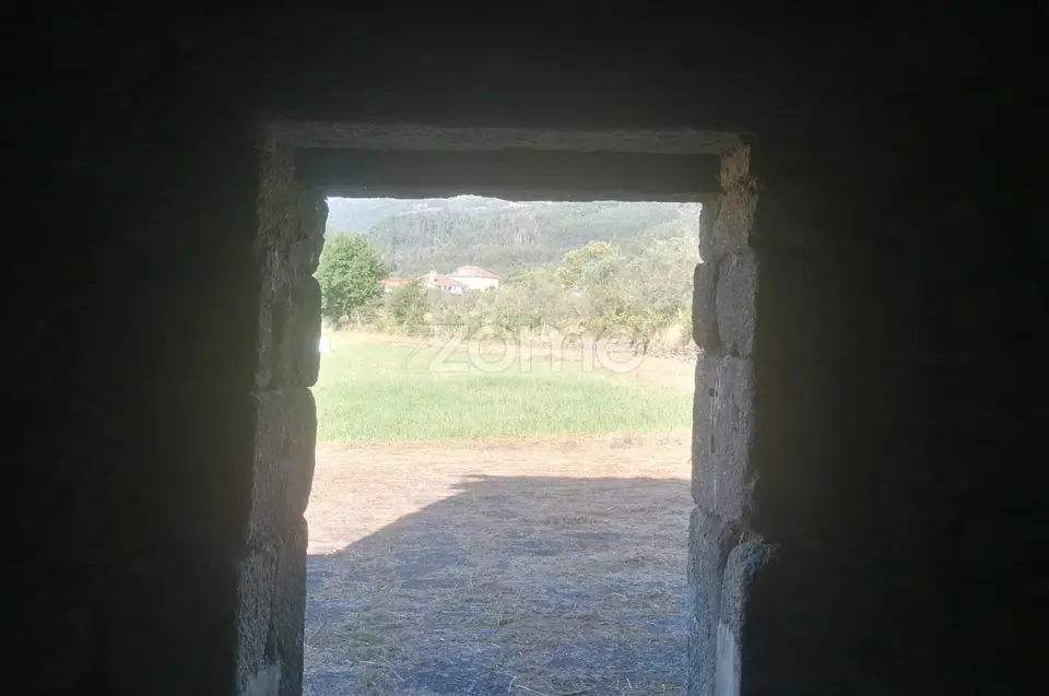 Terreno Rústico e Casas com vista para a Serra do Caramulo — imagem 17