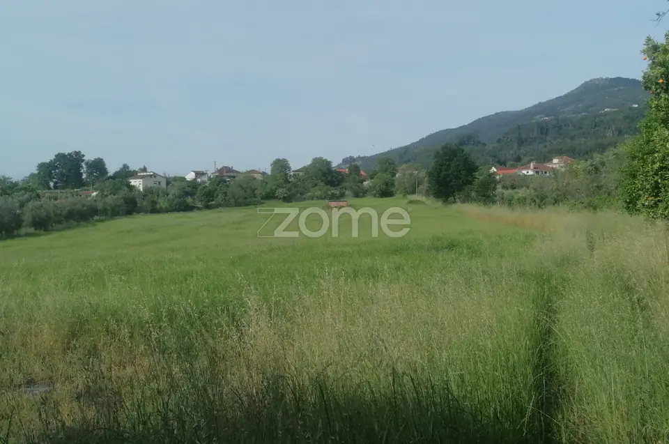 Terreno Rústico e Casas com vista para a Serra do Caramulo — imagem 10