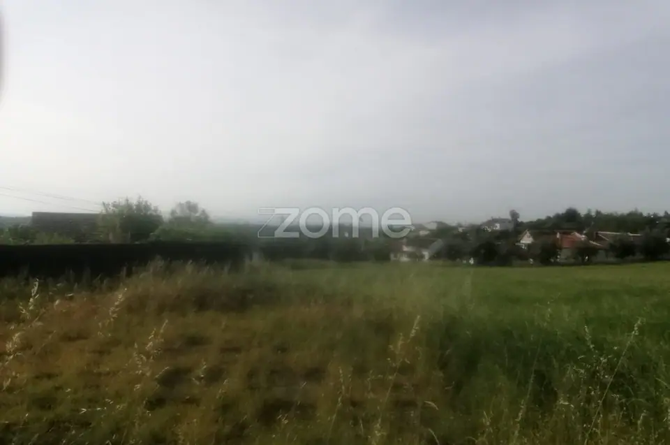 Terreno Rústico e Casas com vista para a Serra do Caramulo — imagem 12