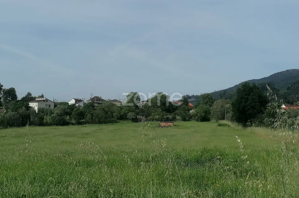 Terreno Rústico e Casas com vista para a Serra do Caramulo — imagem 11