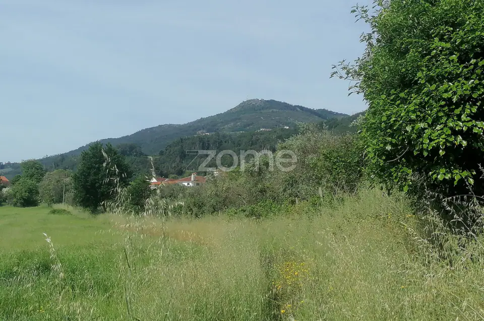 Terreno Rústico e Casas com vista para a Serra do Caramulo — imagem 7