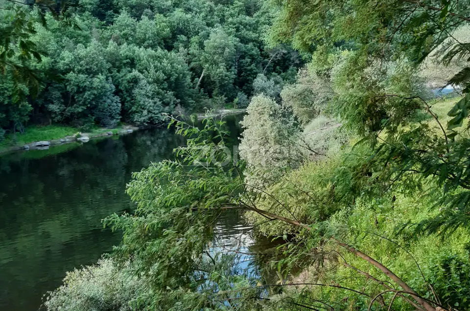 Quinta Junto ao rio Mondego — imagem 6