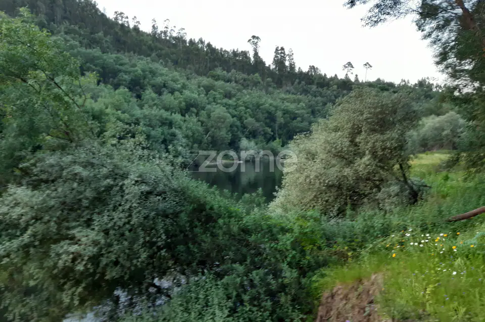 Quinta Junto ao rio Mondego — imagem 4