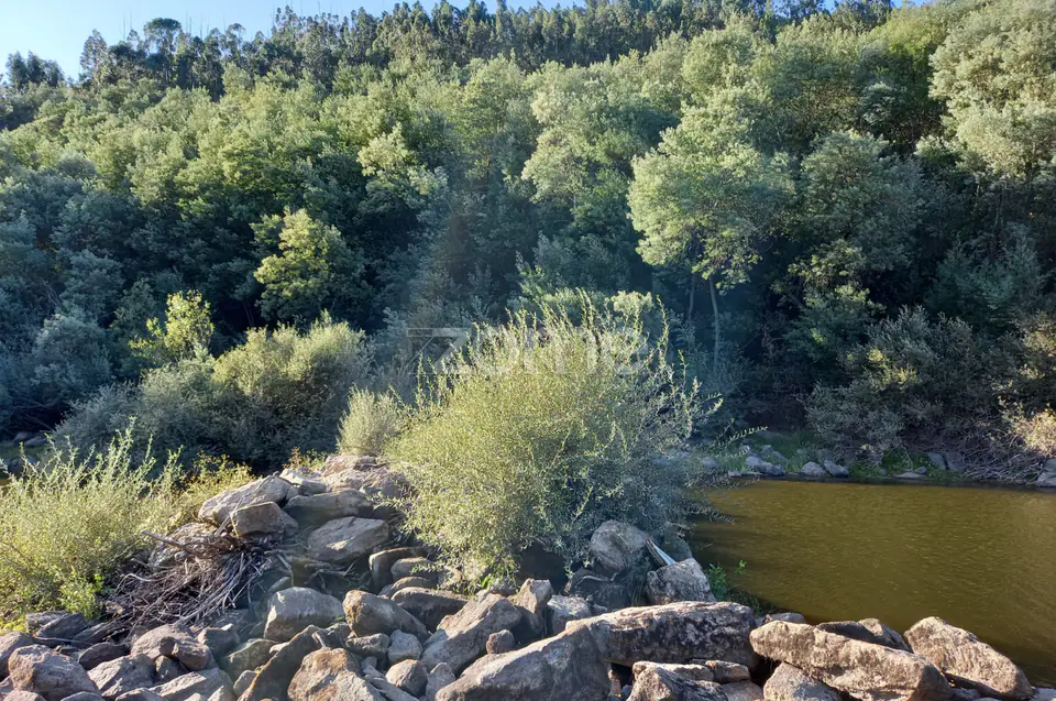 Quinta Junto ao rio Mondego — imagem 10