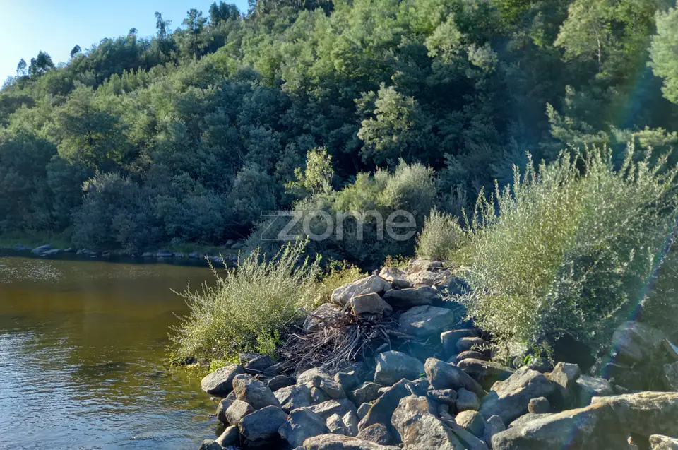 Quinta Junto ao rio Mondego — imagem 9