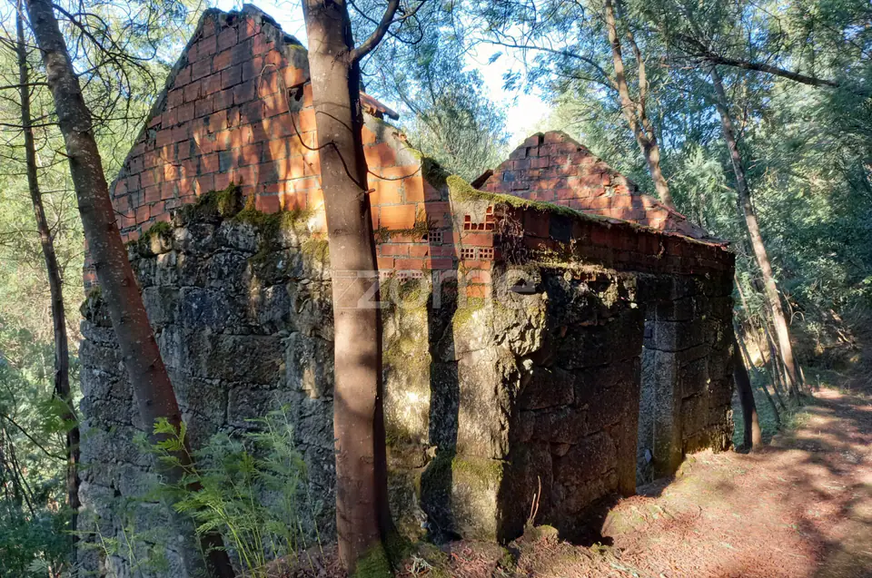 Quinta Junto ao rio Mondego — imagem 8