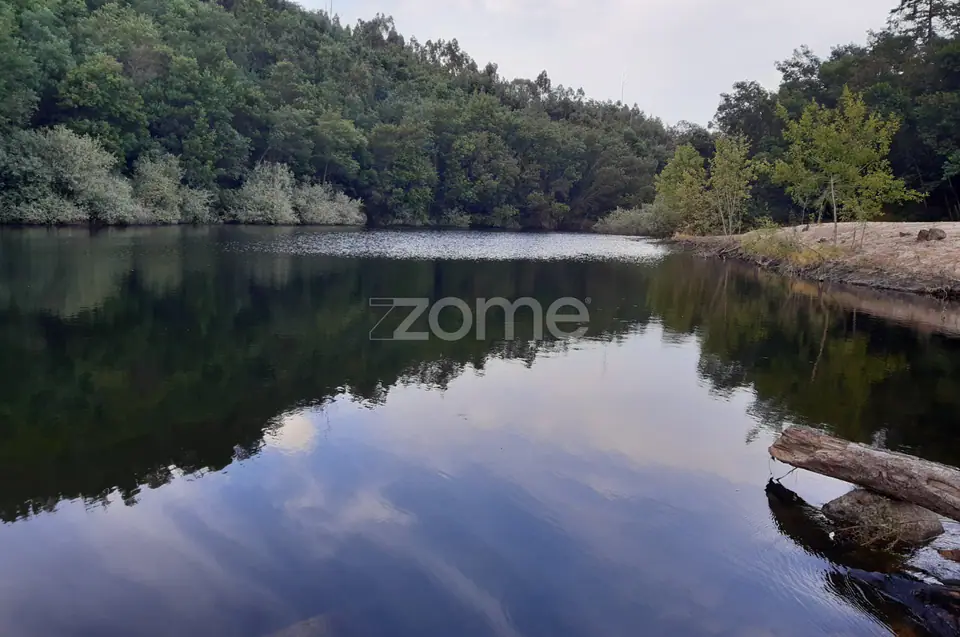 Quinta Junto ao rio Mondego — imagem 1