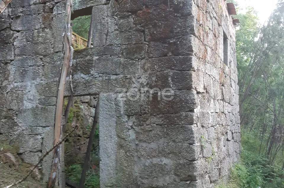 Quinta Junto ao rio Mondego — imagem 5
