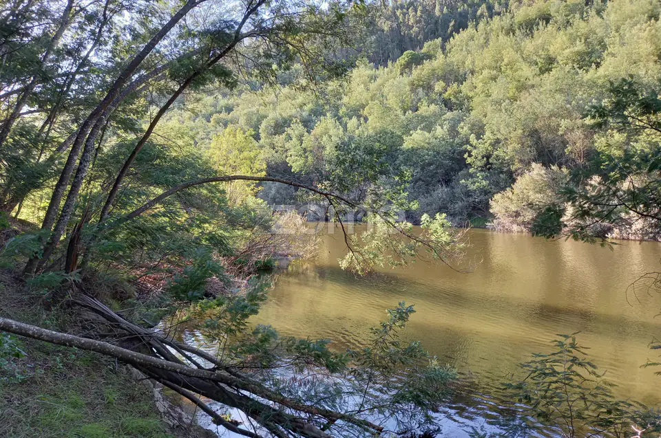 Quinta Junto ao rio Mondego — imagem 12