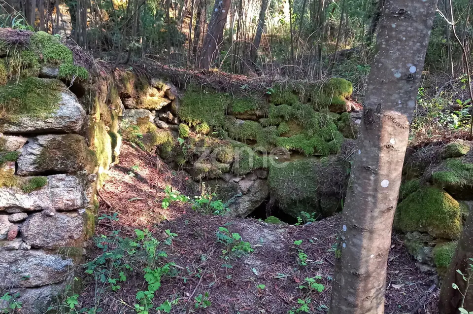 Quinta Junto ao rio Mondego — imagem 14