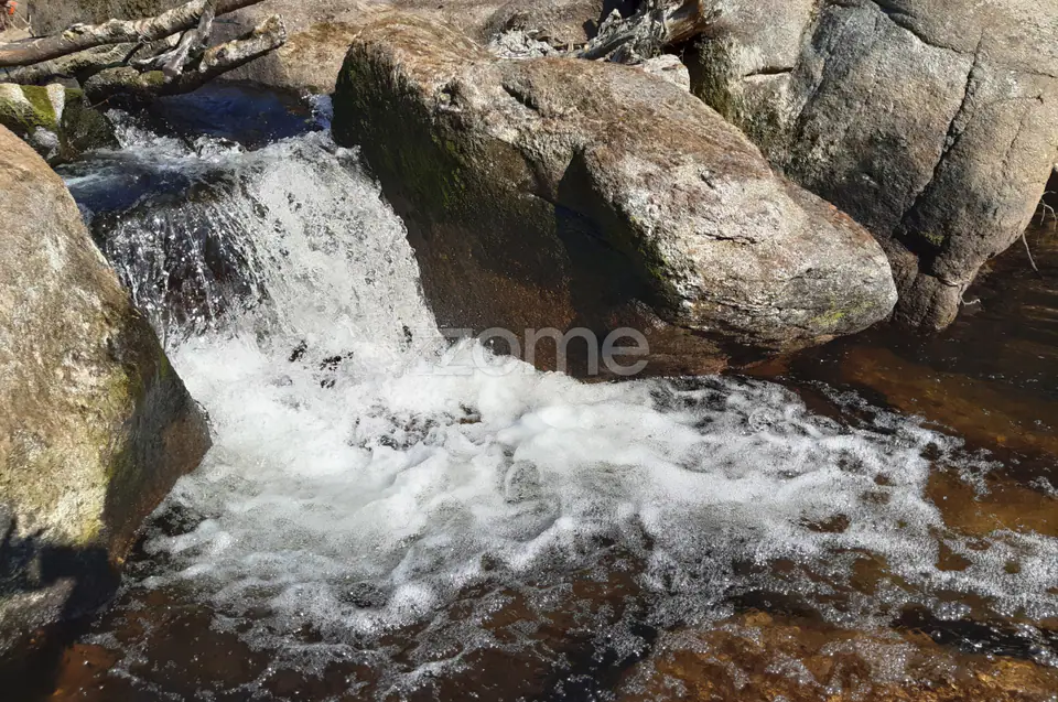 Quinta Junto ao rio Mondego — imagem 7