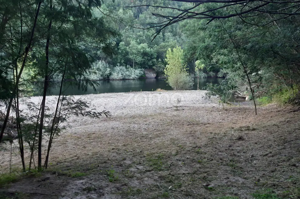 Quinta Junto ao rio Mondego — imagem 2