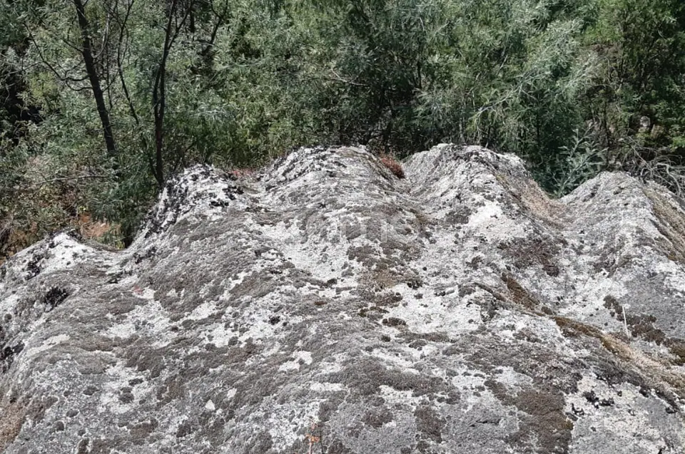 Quinta junto ao rio Seia — imagem 7