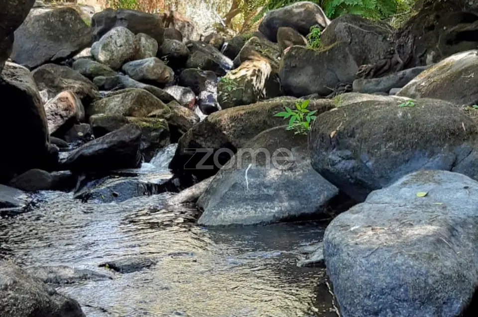 Quinta junto ao rio Seia — imagem 3