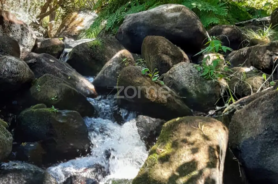 Quinta junto ao rio Seia — imagem 2