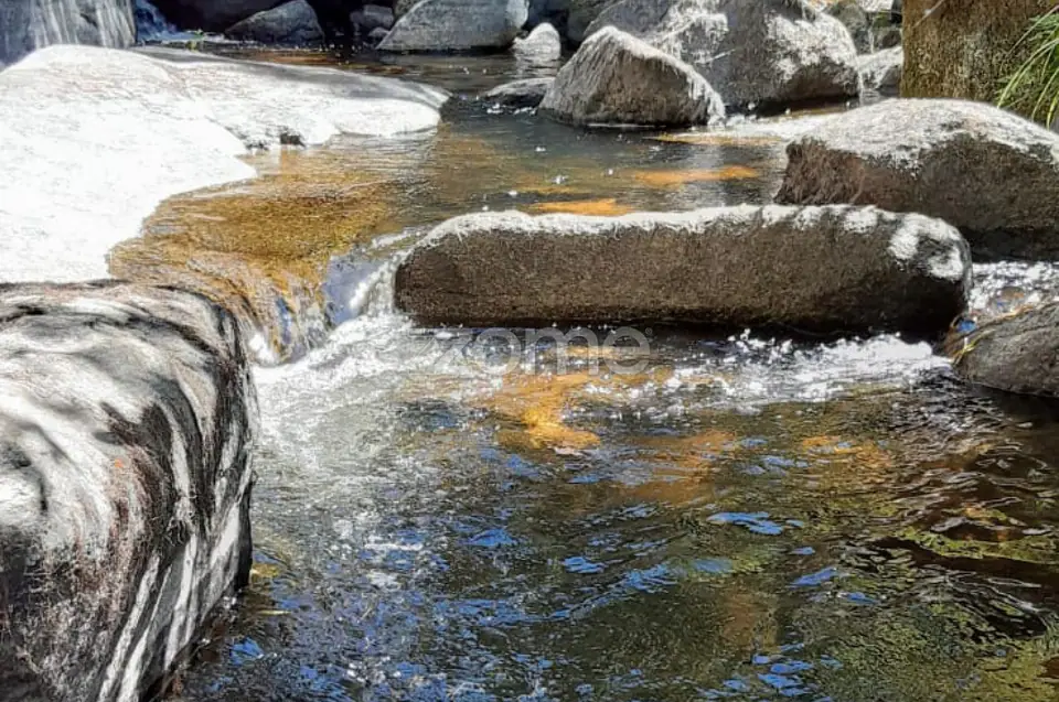 Quinta junto ao rio Seia — imagem 4