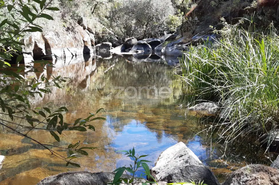 Quinta junto ao rio Seia — imagem 1