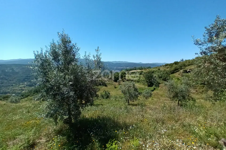 Vende-se terreno Rustico — imagem 4