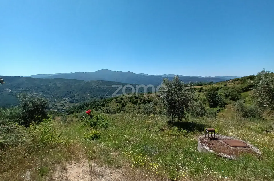 Vende-se terreno Rustico — imagem 6
