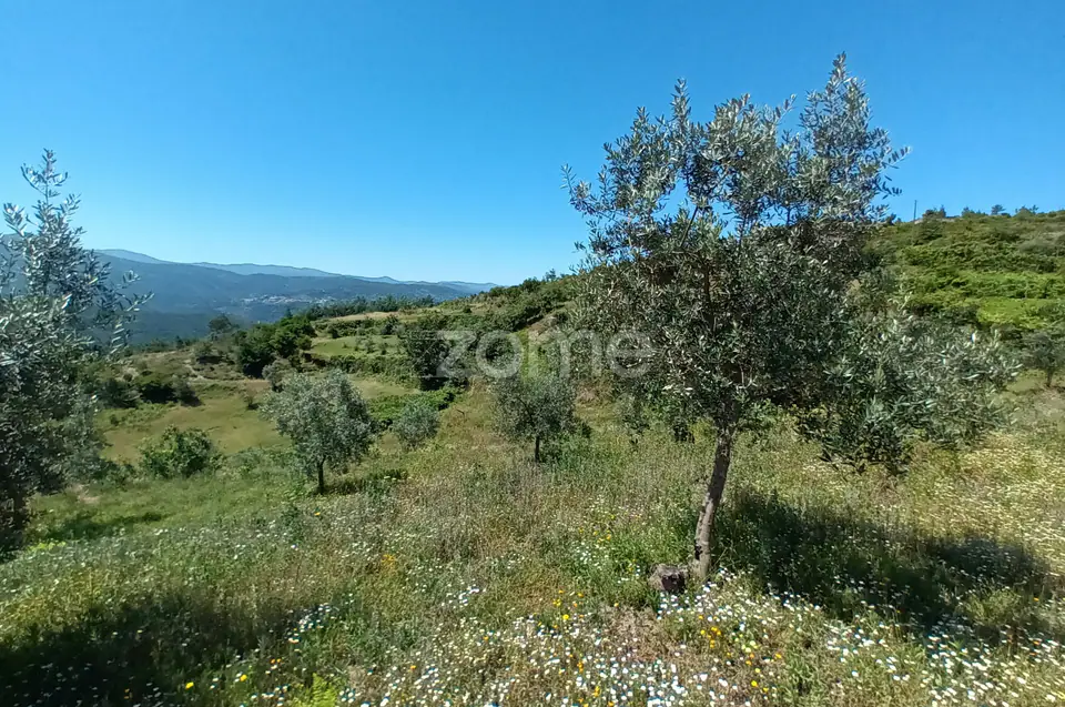 Vende-se terreno Rustico — imagem 2