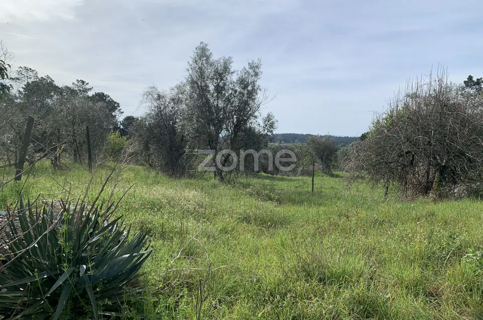Terreno Urbanizável — imagem 3