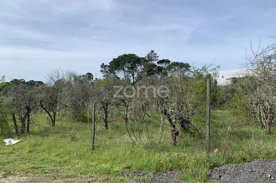 Terreno Urbanizável — imagem 12
