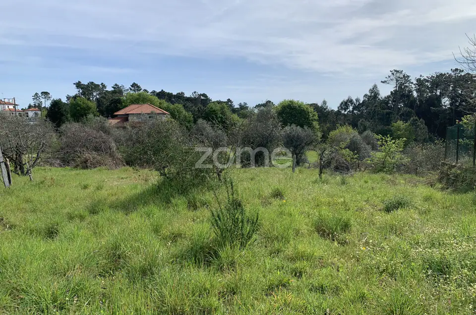 Terreno Urbanizável — imagem 9