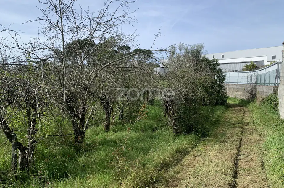 Terreno Urbanizável — imagem 2