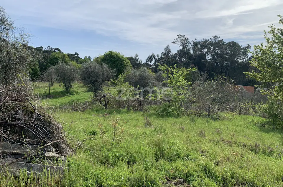 Terreno Urbanizável — imagem 7
