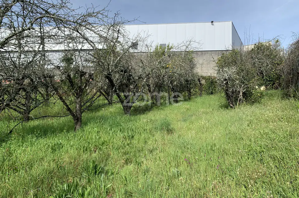 Terreno Urbanizável — imagem 15