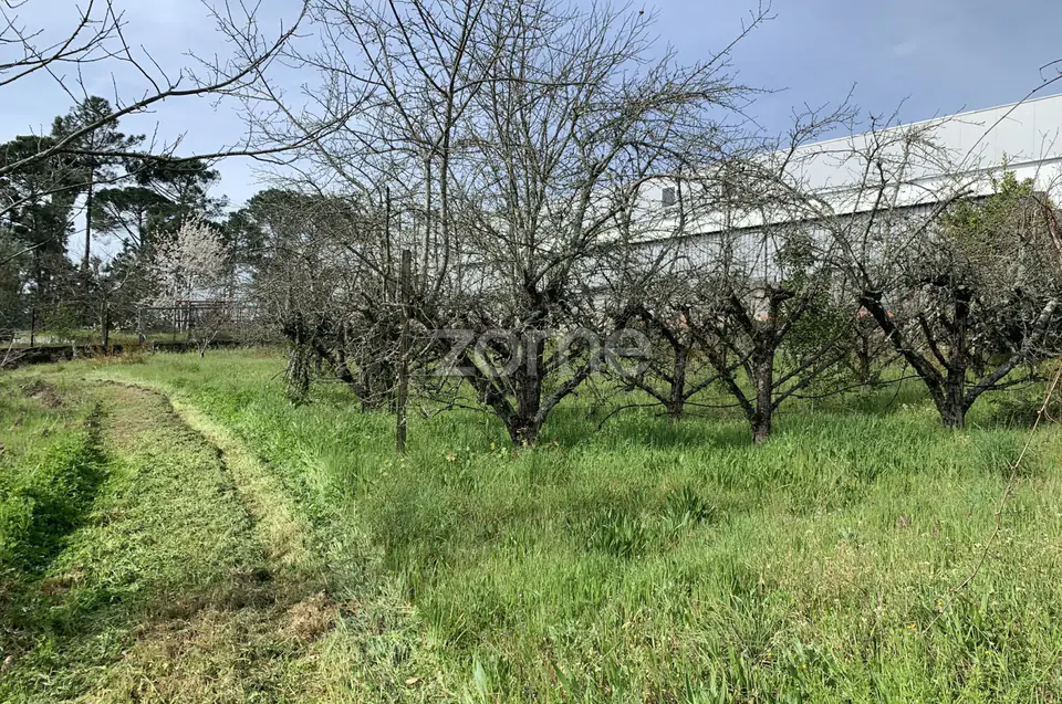 Terreno Urbanizável — imagem 4