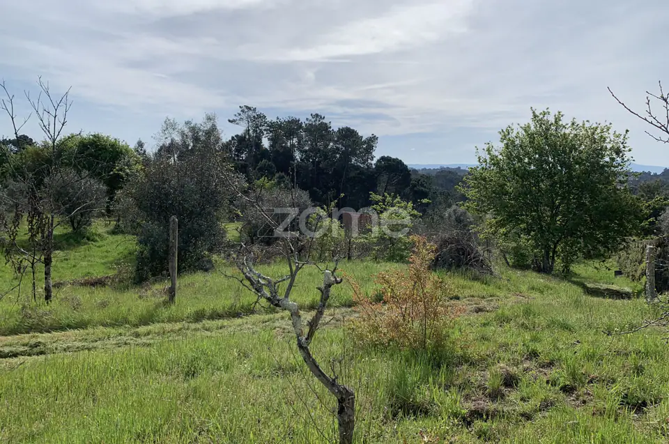 Terreno Urbanizável — imagem 10