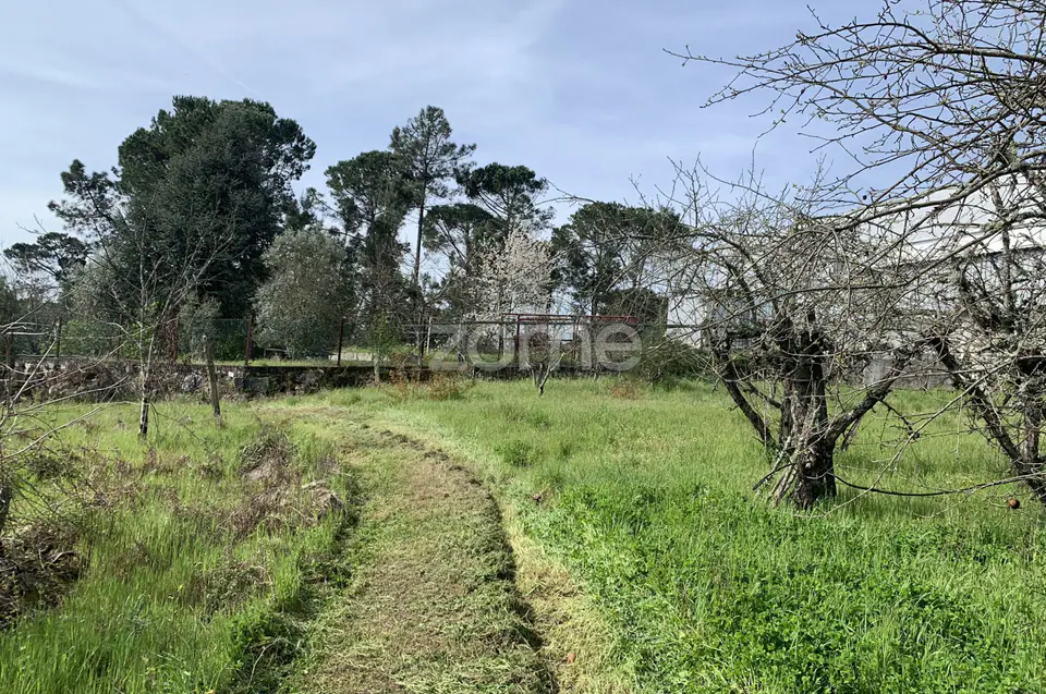 Terreno Urbanizável — imagem 5