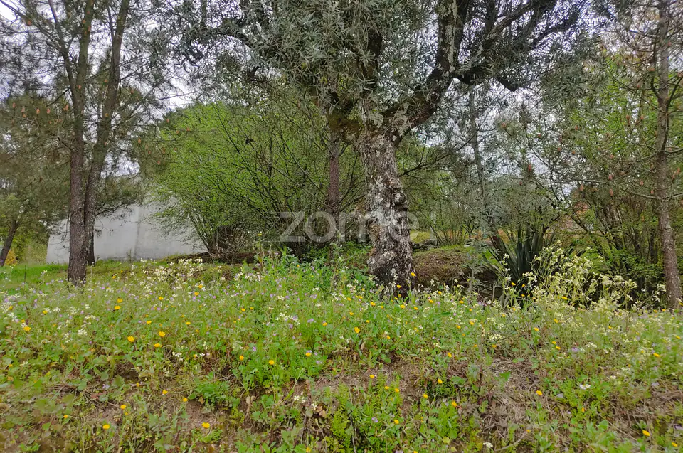 Lote de terreno urbanizável - Venha construir o seu sonho — imagem 20