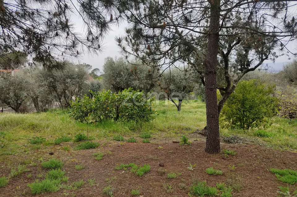 Lote de terreno urbanizável - Venha construir o seu sonho — imagem 15