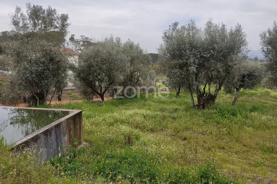 Lote de terreno urbanizável - Venha construir o seu sonho — imagem 24