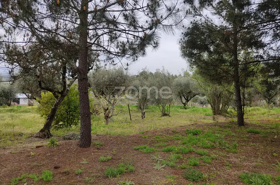 Lote de terreno urbanizável - Venha construir o seu sonho — imagem 19