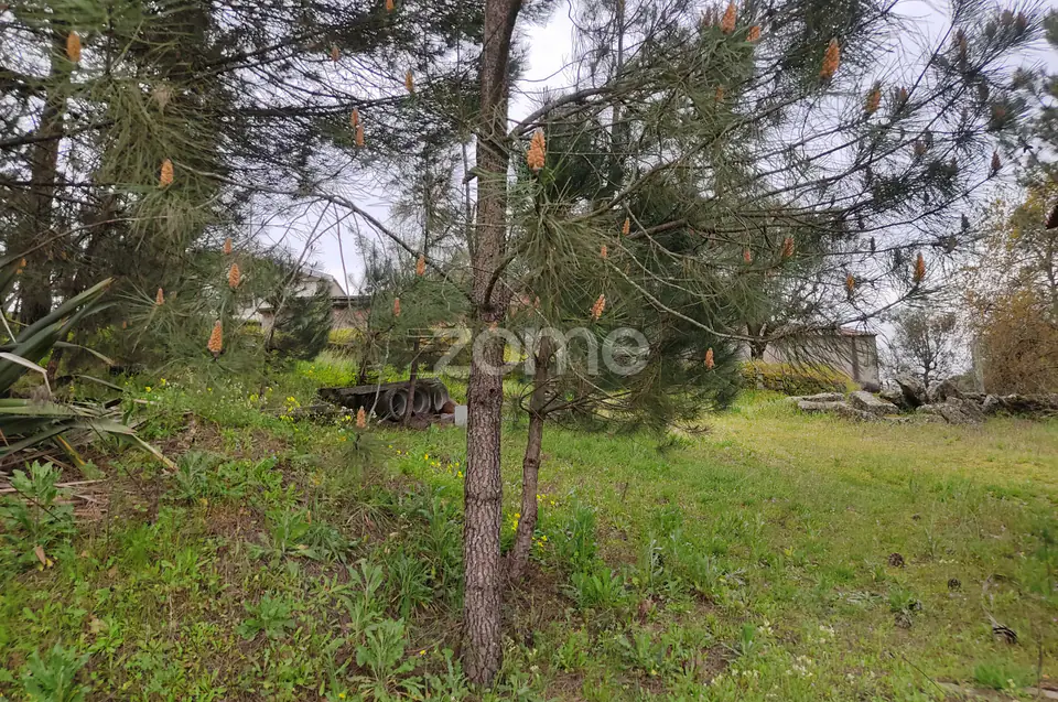 Lote de terreno urbanizável - Venha construir o seu sonho — imagem 12