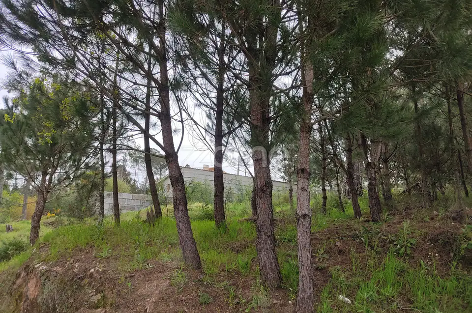 Lote de terreno urbanizável - Venha construir o seu sonho — imagem 2