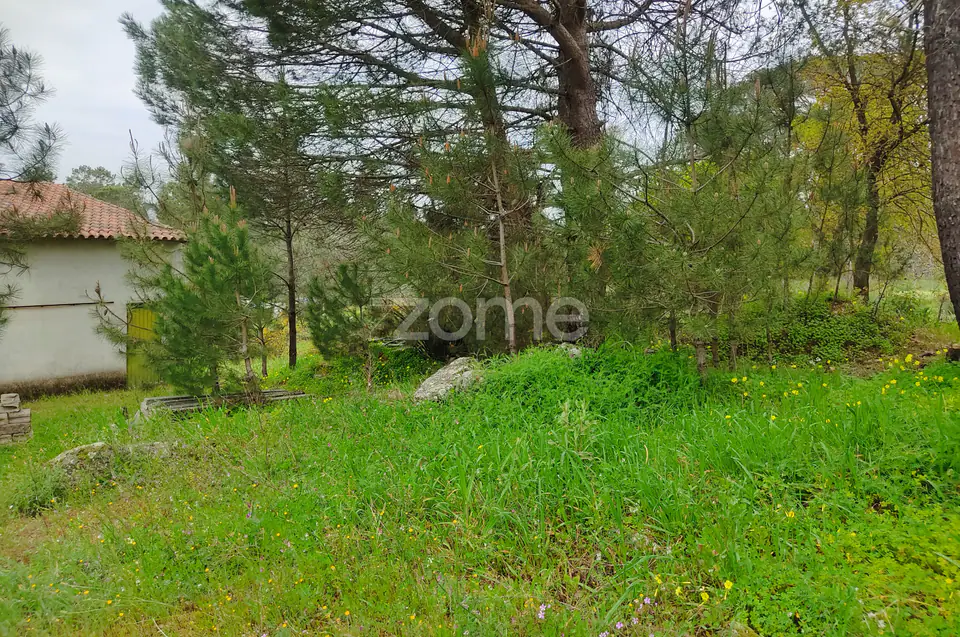 Lote de terreno urbanizável - Venha construir o seu sonho — imagem 5
