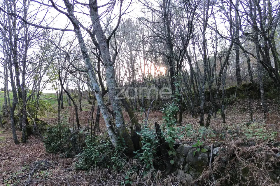 Terreno em Vale Do Bacelo - Almargem 1376m2 — imagem 9