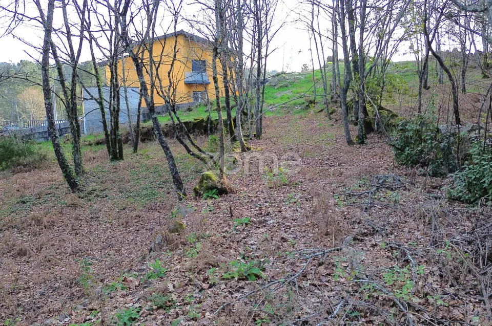 Terreno em Vale Do Bacelo - Almargem 1376m2 — imagem 10
