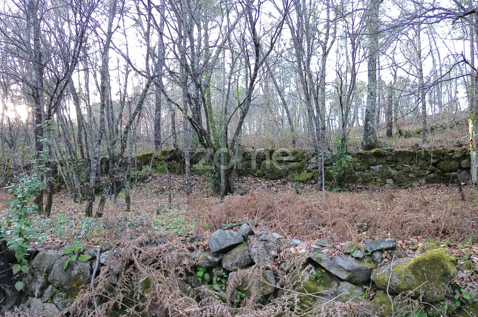 Terreno em Vale Do Bacelo - Almargem 1376m2 — imagem 11
