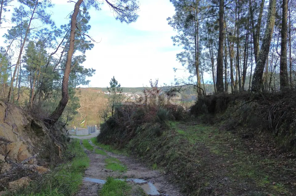 Terreno em Vale Do Bacelo - Almargem 1376m2 — imagem 14
