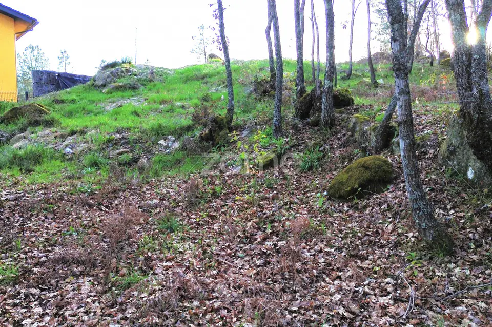 Terreno em Vale Do Bacelo - Almargem 1376m2 — imagem 1